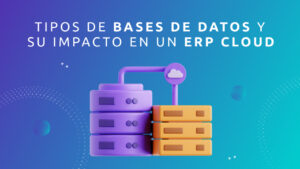 Tipos de Bases de Datos y su Impacto en un ERP cloud