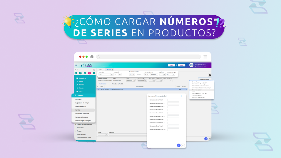 ¿Cómo Cargar Números de Series en Productos?